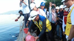 Peletakan Batu Pertama Tiang Pancang