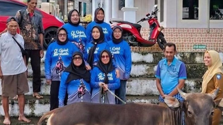 Ci Ojek Andalan Serahkan Satu Ekor Sapi